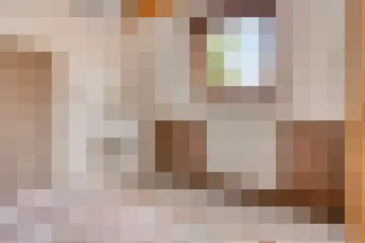 Hoogstraat 302 Eindhoven thumbnail 33