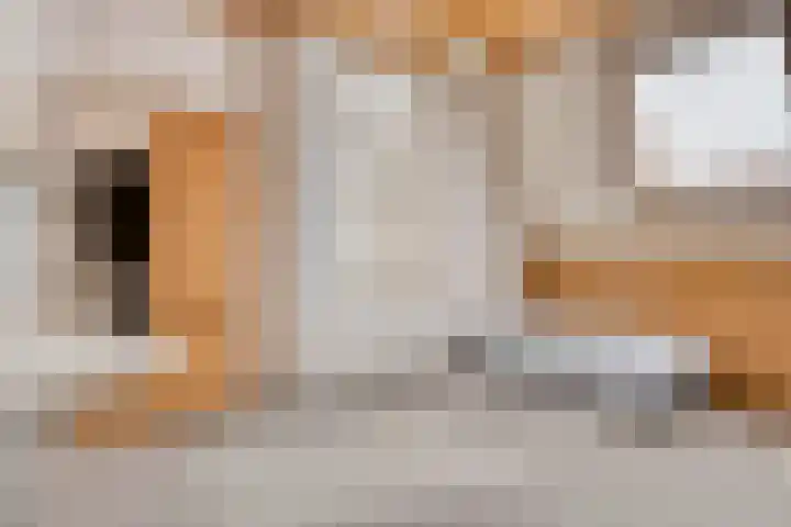 Hoogstraat 302 Eindhoven thumbnail 35