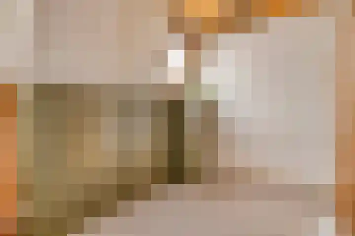 Hoogstraat 302 Eindhoven thumbnail 37