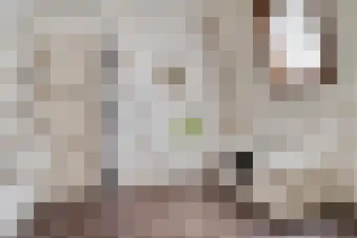 Hoogstraat 302 Eindhoven thumbnail 4