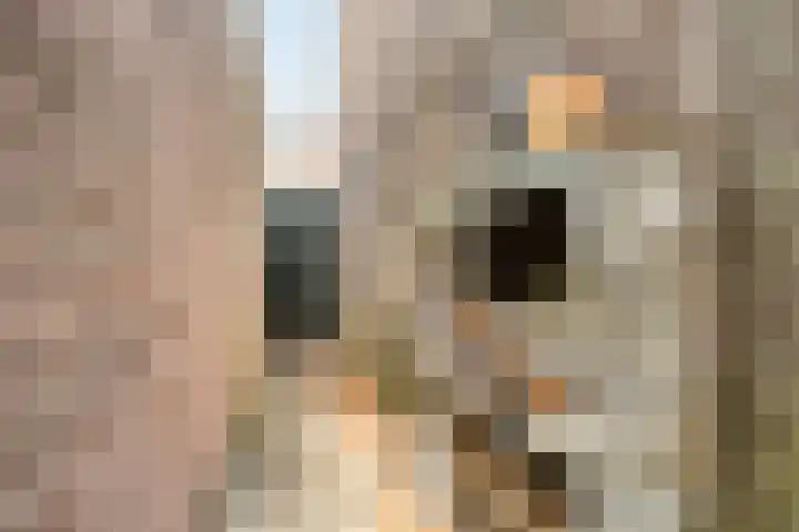 Hoogstraat 302 Eindhoven thumbnail 42