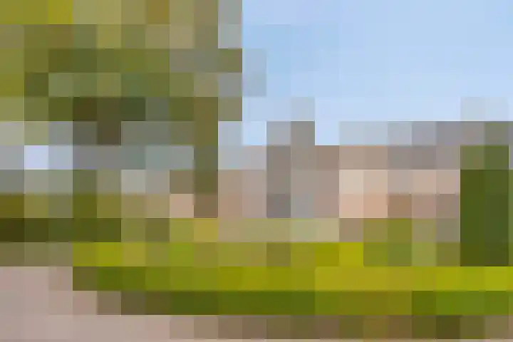 Hoogstraat 302 Eindhoven thumbnail 48