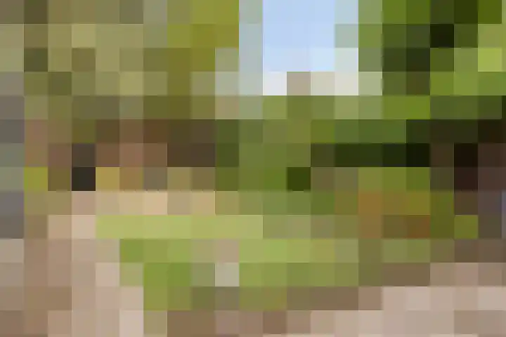 Hoogstraat 302 Eindhoven thumbnail 5