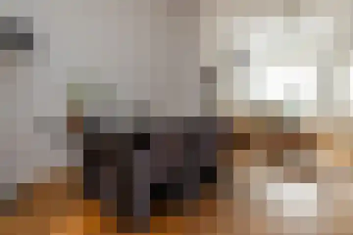 Hoogstraat 31 Harderwijk thumbnail 4