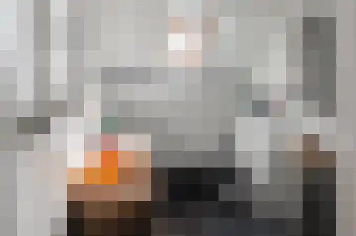 Hoogstraat 31 Wijk bij Duurstede thumbnail 28