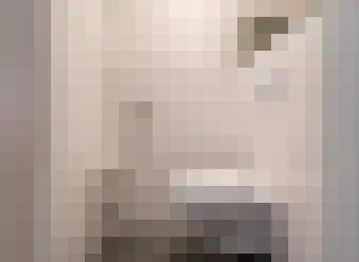 Hoogstraat 31 Wijk bij Duurstede thumbnail 6