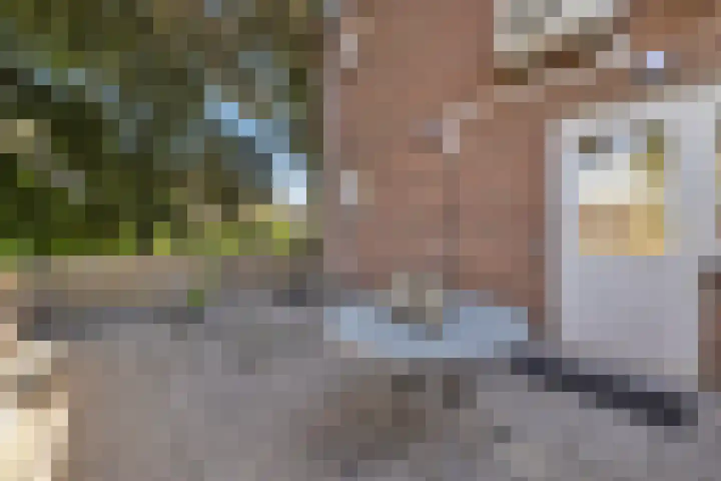 Hoogstraat 318 B Eindhoven thumbnail 31