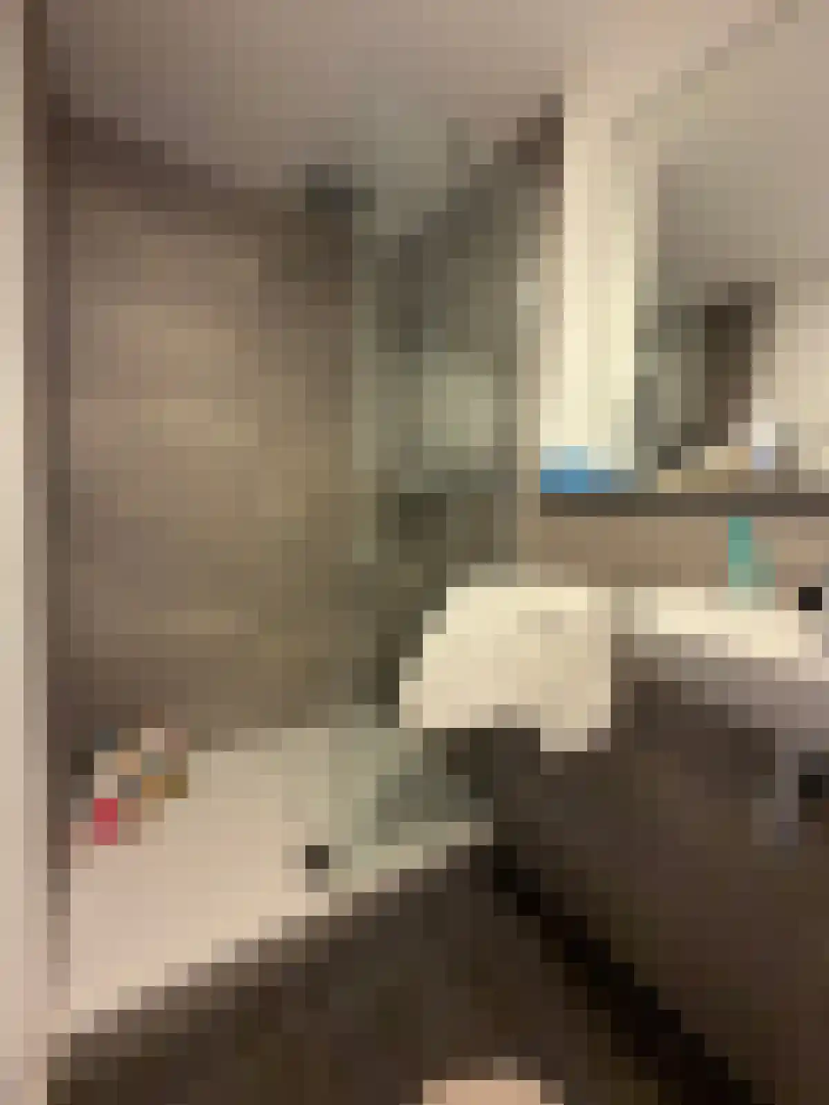 Hoogstraat 329 Eindhoven thumbnail 5
