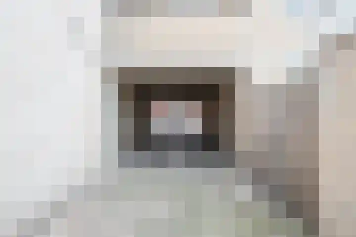 Hoogstraat 344 D Eindhoven thumbnail 31