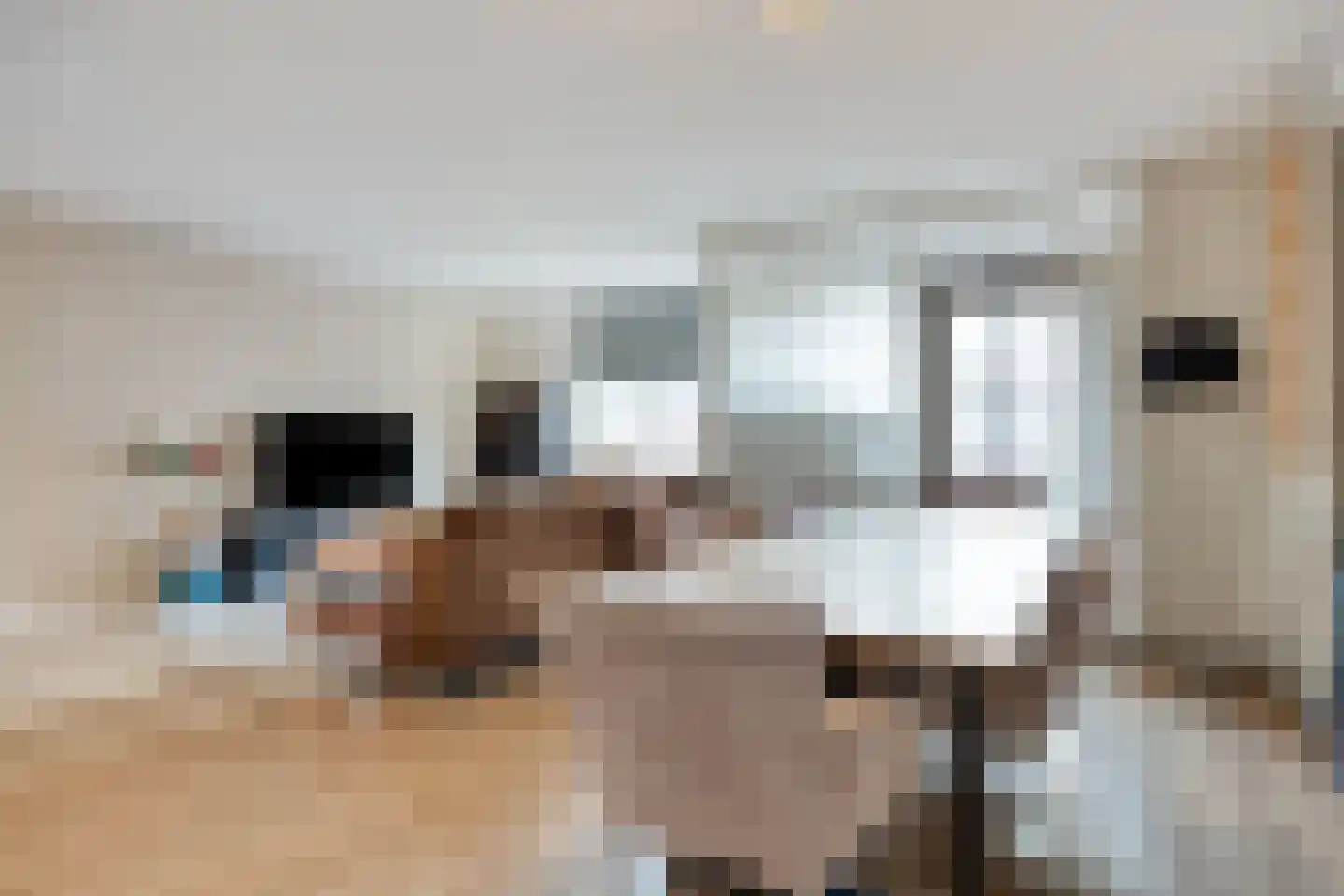Hoogstraat 344 Eindhoven thumbnail 9