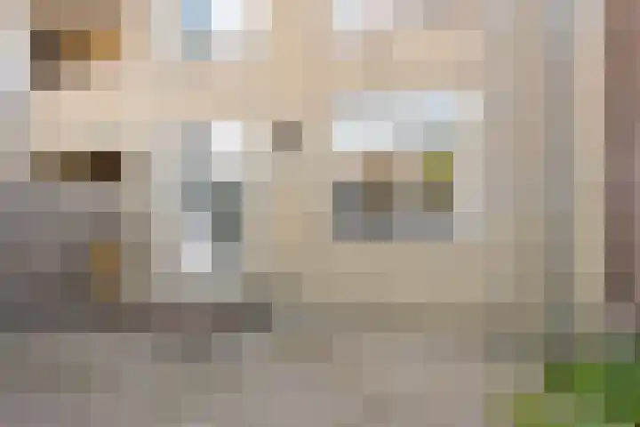 Hoogstraat 346 Eindhoven thumbnail 17