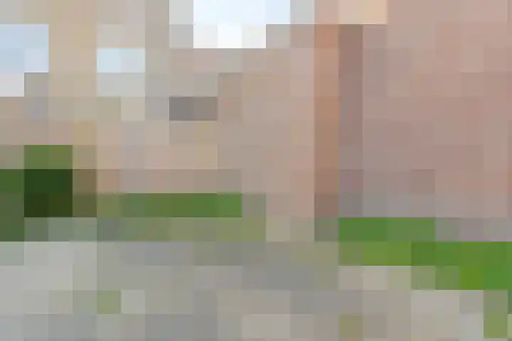 Hoogstraat 346 Eindhoven thumbnail 21