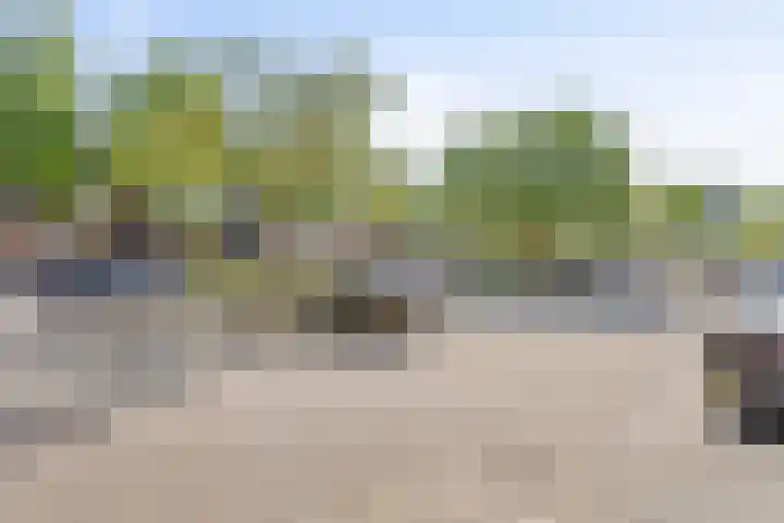 Hoogstraat 346 Eindhoven thumbnail 23