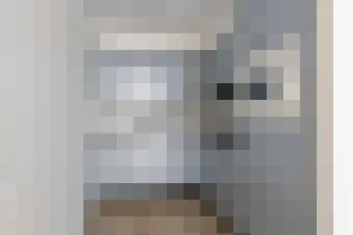 Hoogstraat 346 Eindhoven thumbnail 8