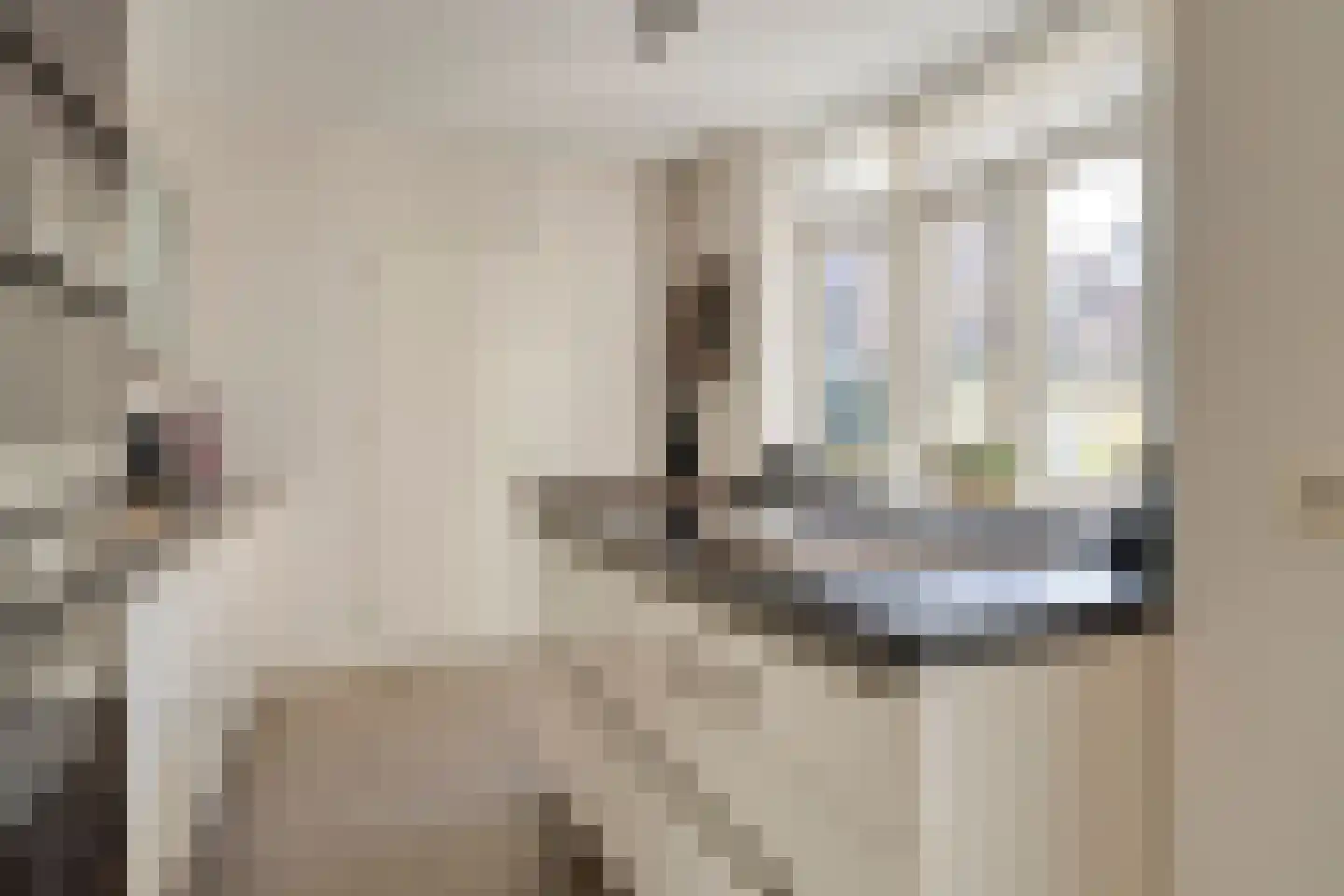 Hoogstraat 35 Bergen op Zoom thumbnail 17