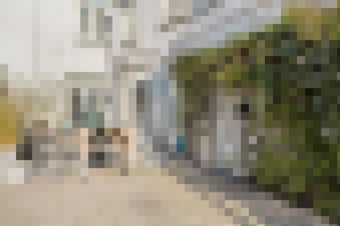 Hoogstraat 35 Bergen op Zoom thumbnail 39