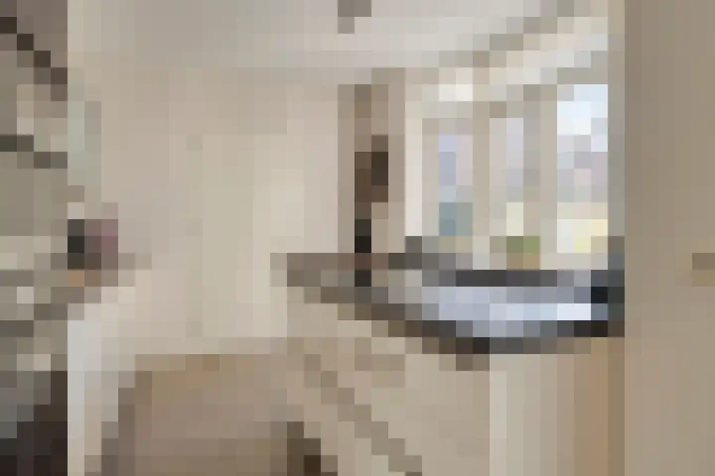 Hoogstraat 35 Bergen op Zoom thumbnail 4