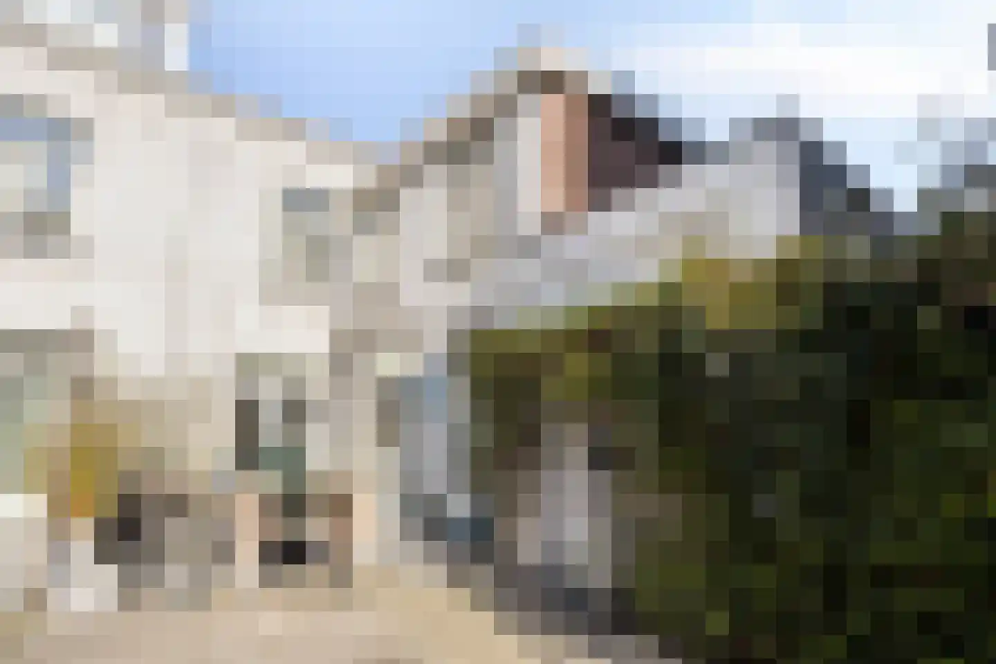 Hoogstraat 35 Bergen op Zoom thumbnail 5