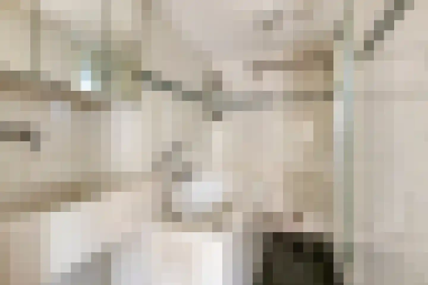 Hoogstraat 35 Goirle thumbnail 15