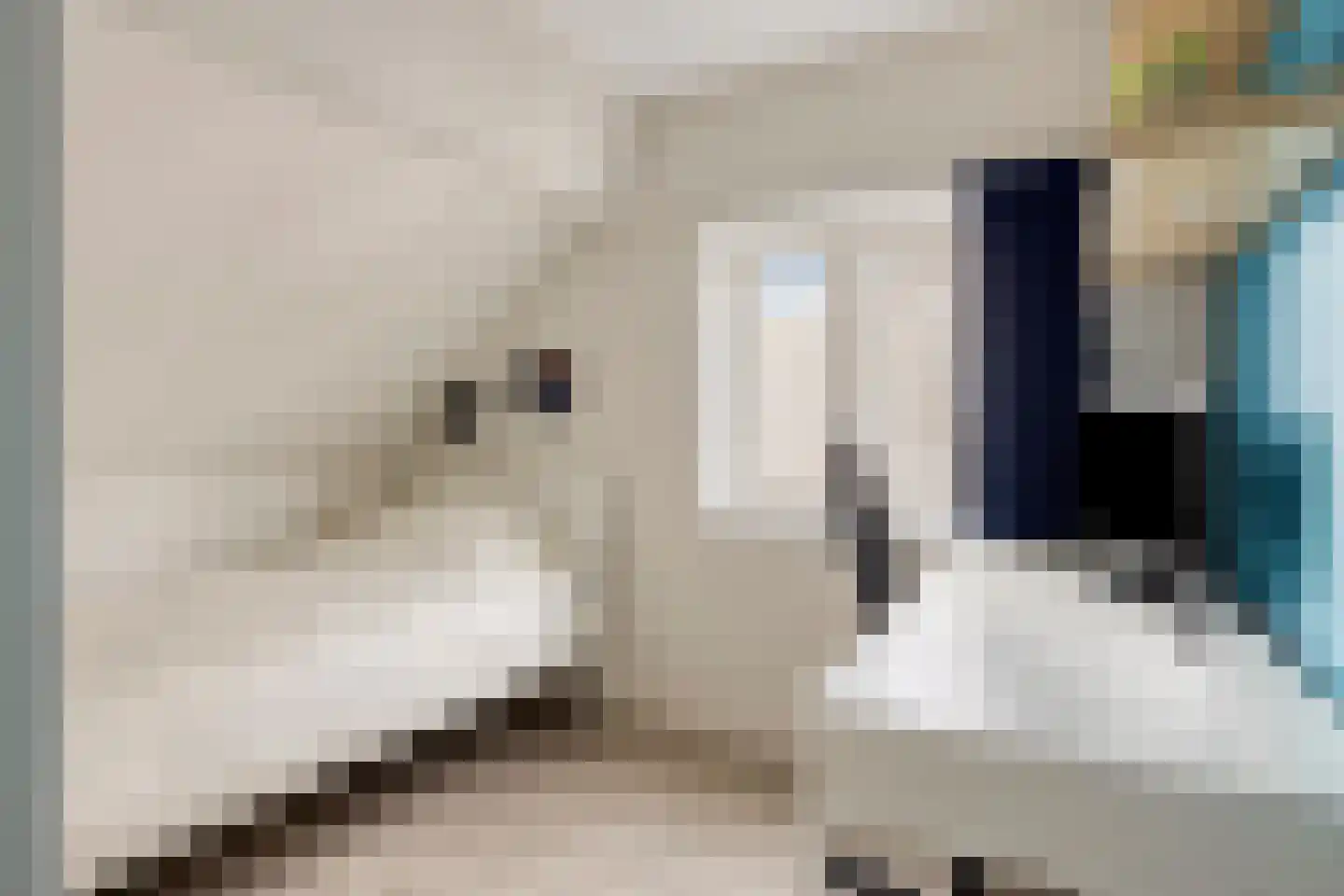 Hoogstraat 35 Goirle thumbnail 22
