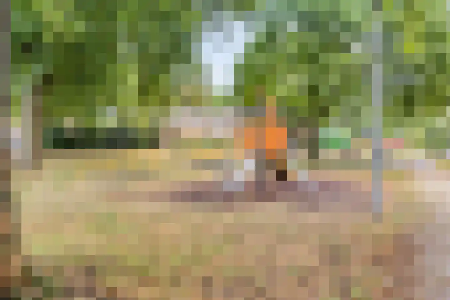 Hoogstraat 35 Goirle thumbnail 31