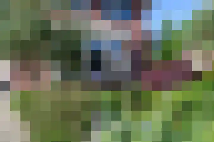 Hoogstraat 35 Overasselt thumbnail 4