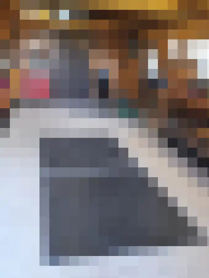 Hoogstraat 35 Overasselt thumbnail 45