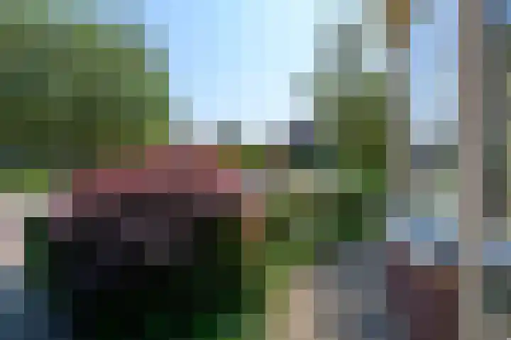 Hoogstraat 35 Overasselt thumbnail 5