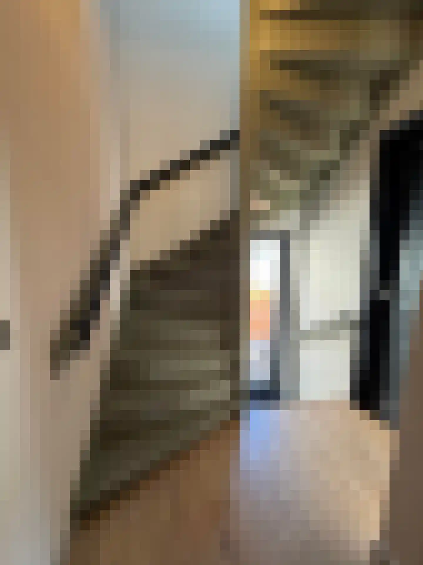 Hoogstraat 36 Bergen op Zoom thumbnail 10