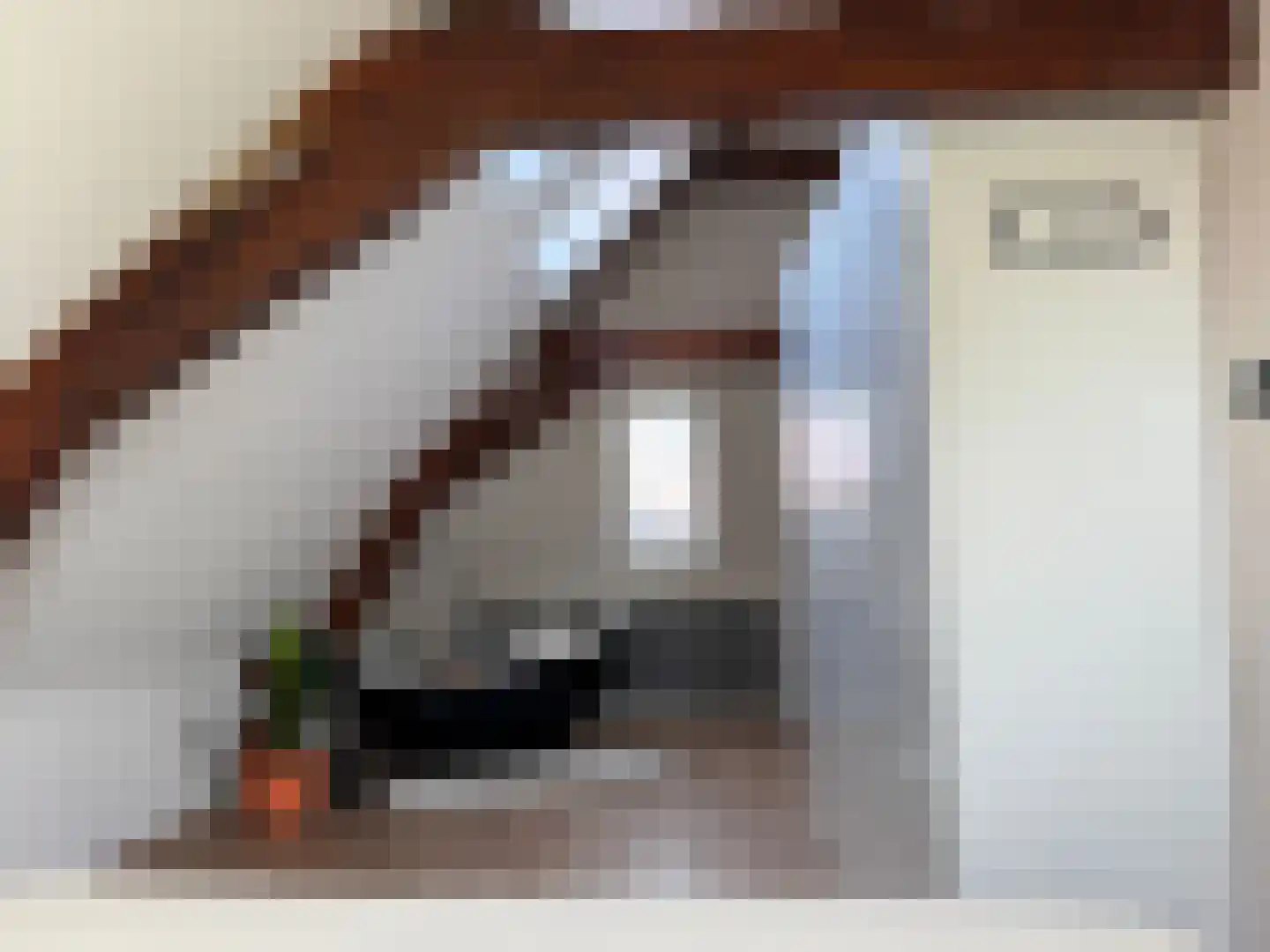 Hoogstraat 36 Bergen op Zoom thumbnail 26
