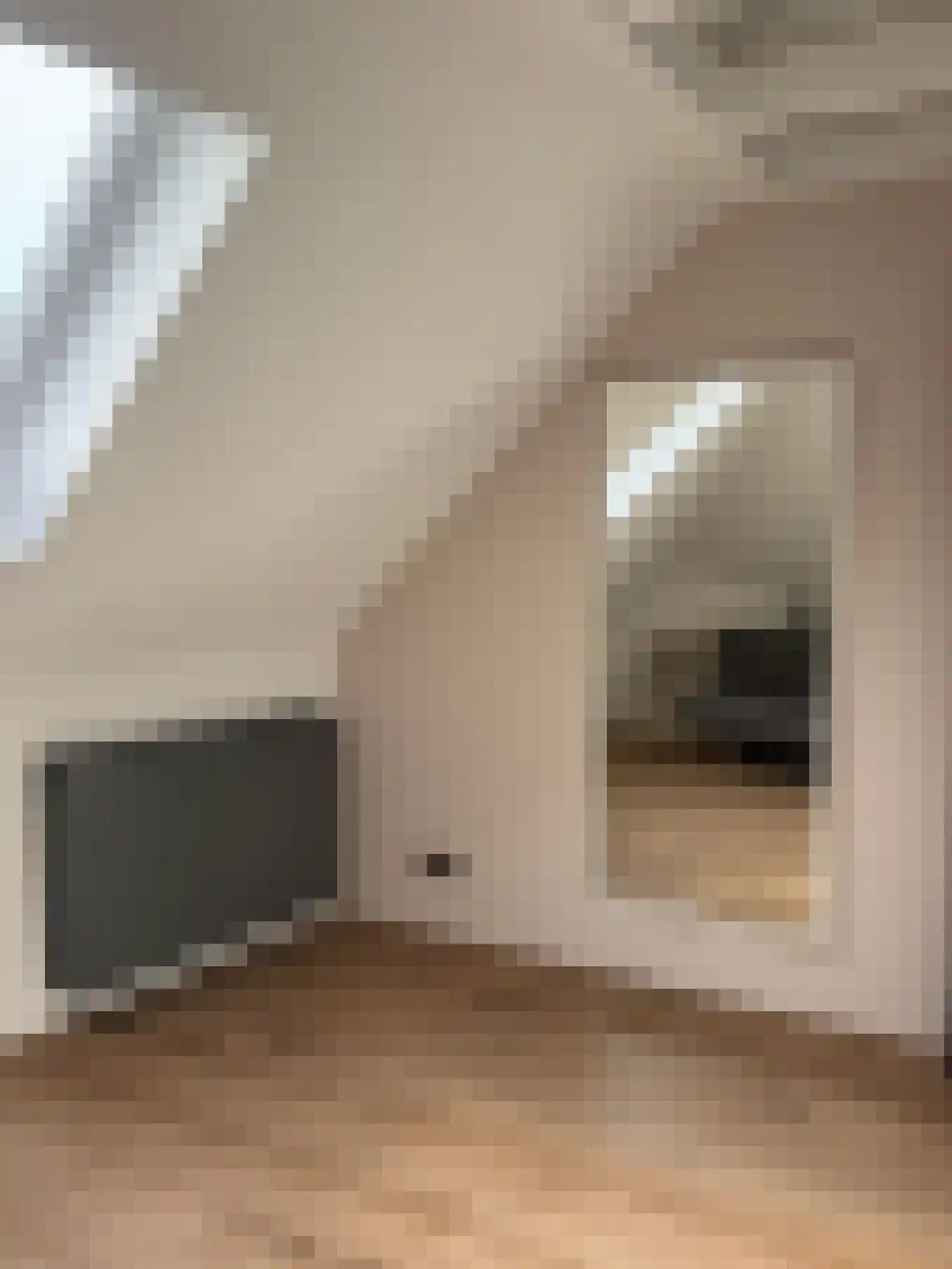 Hoogstraat 36 Bergen op Zoom thumbnail 34