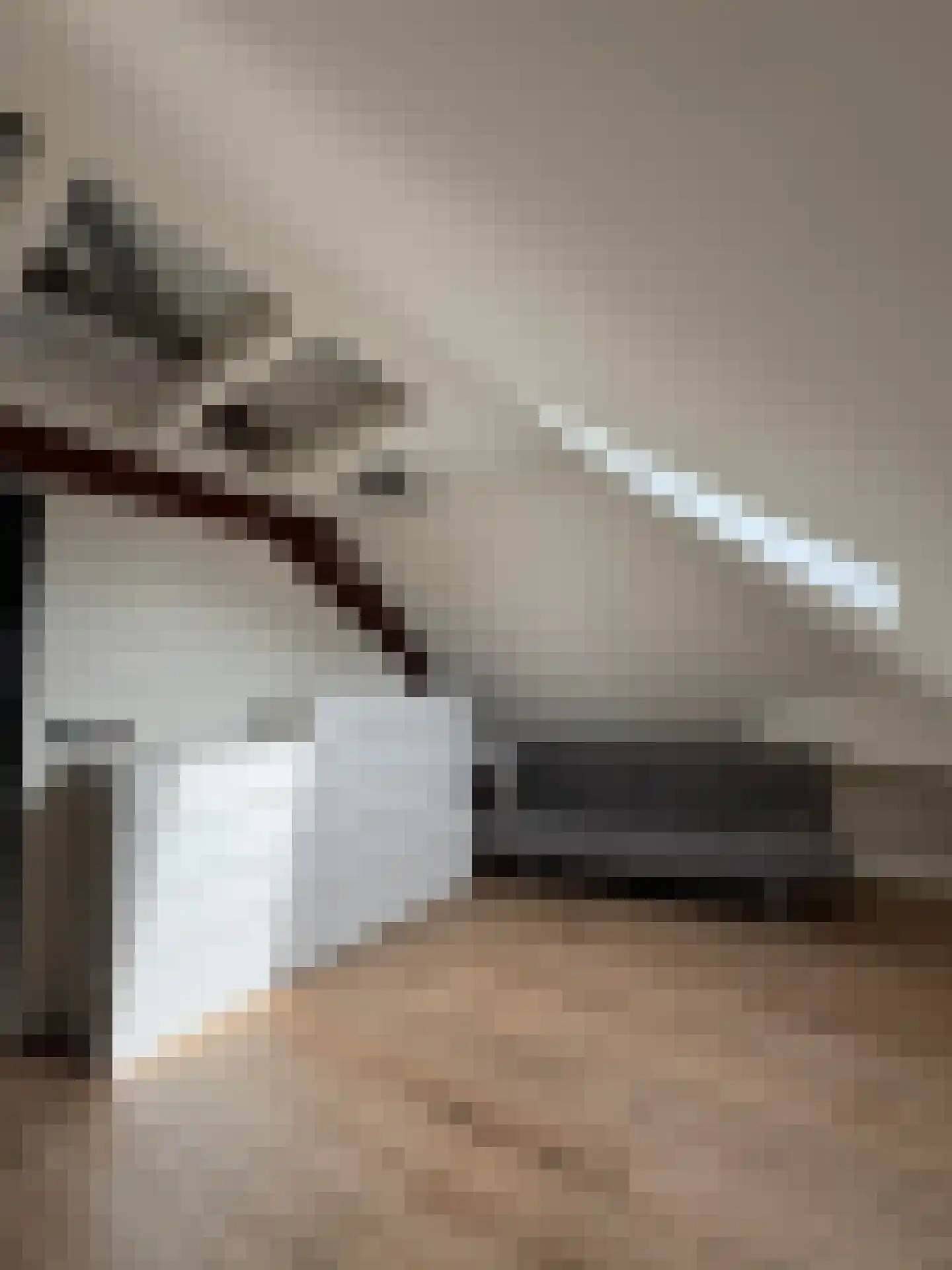 Hoogstraat 36 Bergen op Zoom thumbnail 36