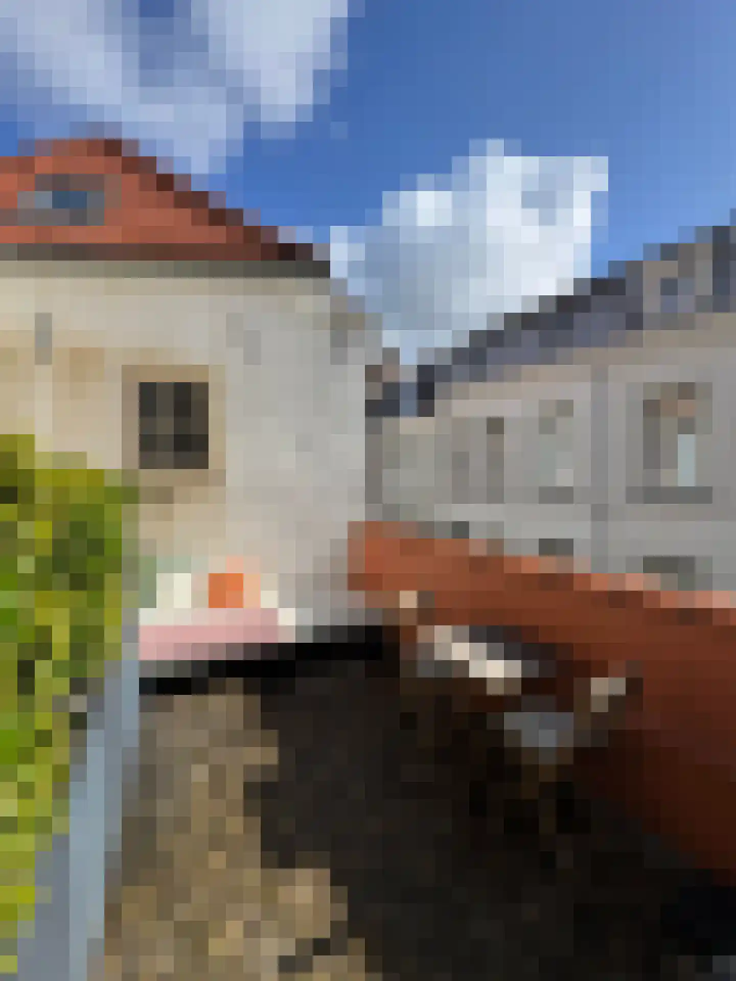 Hoogstraat 36 Bergen op Zoom thumbnail 8
