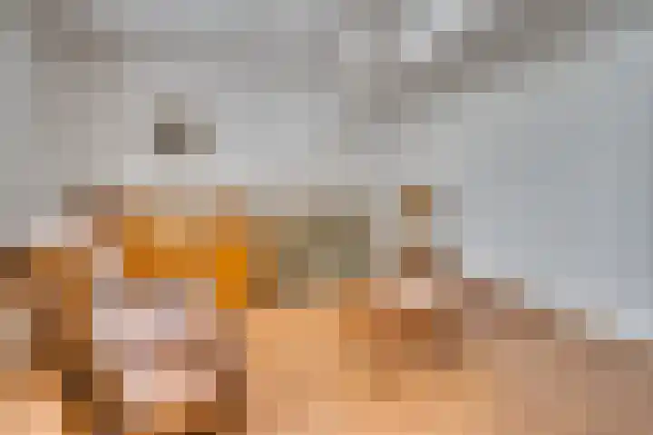 Hoogstraat 36 Thorn thumbnail 7