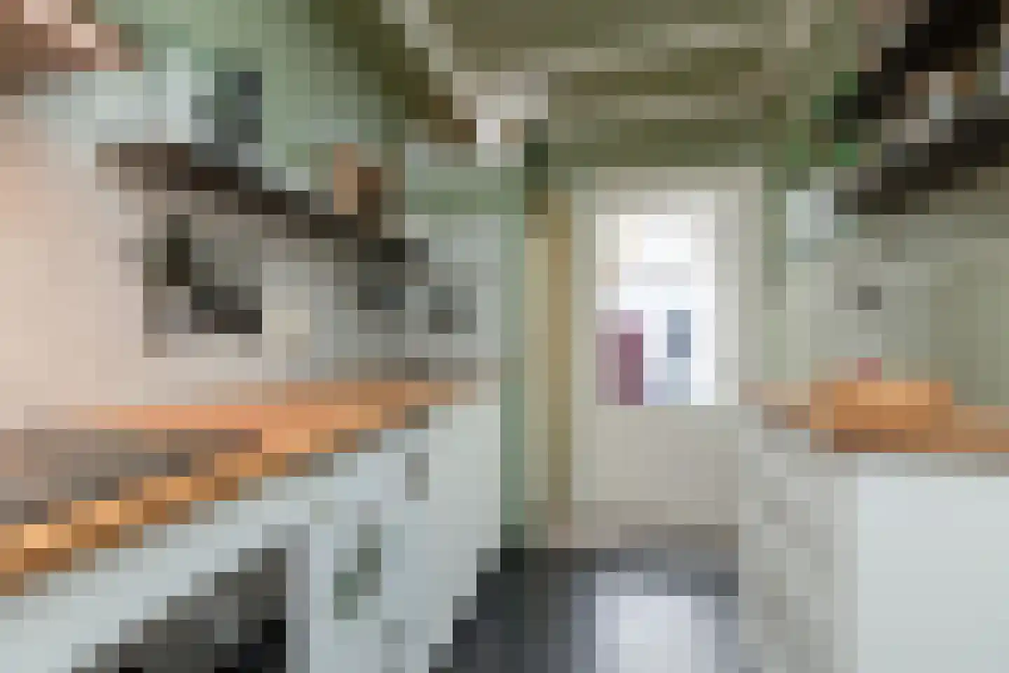 Hoogstraat 37 Bolsward thumbnail 13