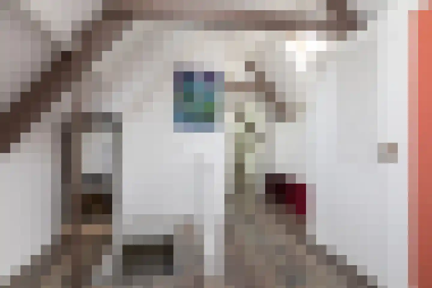 Hoogstraat 37 Bolsward thumbnail 30