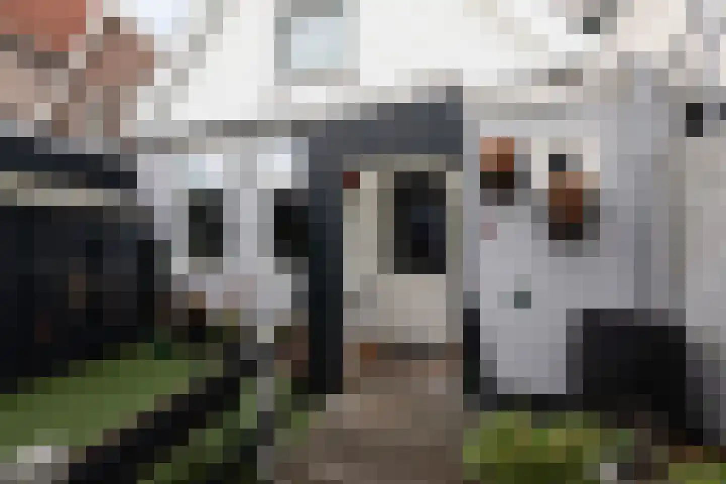 Hoogstraat 37 Bolsward thumbnail 31