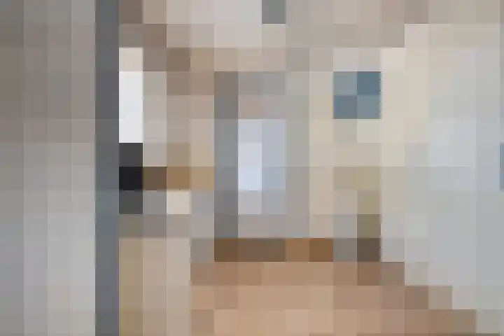 Hoogstraat 37 Goirle thumbnail 16