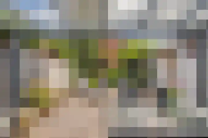Hoogstraat 37 Goirle thumbnail 28