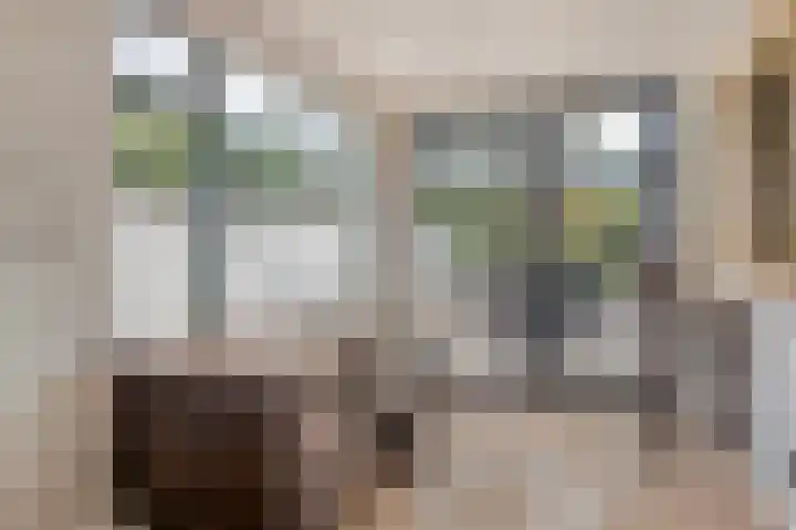 Hoogstraat 37 Goirle thumbnail 4