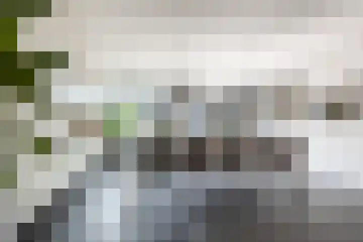 Hoogstraat 38 Berlicum thumbnail 18