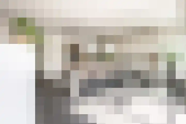 Hoogstraat 38 Berlicum thumbnail 20
