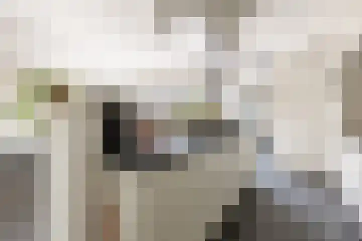 Hoogstraat 38 Berlicum thumbnail 23