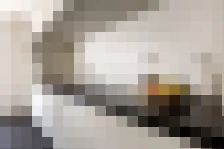 Hoogstraat 38 Berlicum thumbnail 24