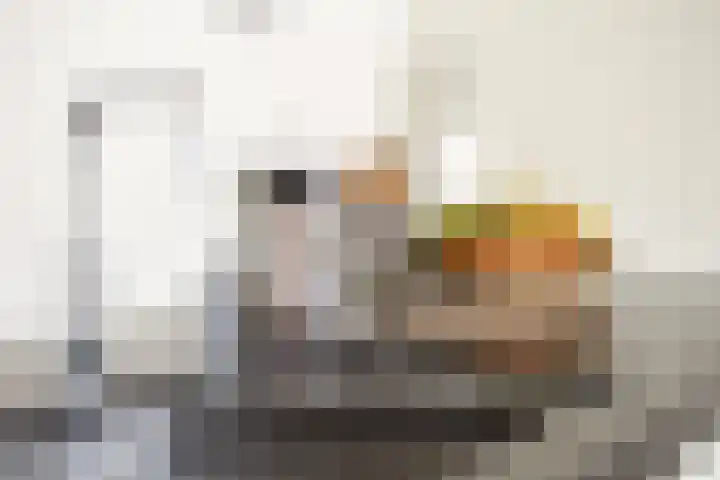 Hoogstraat 38 Berlicum thumbnail 25