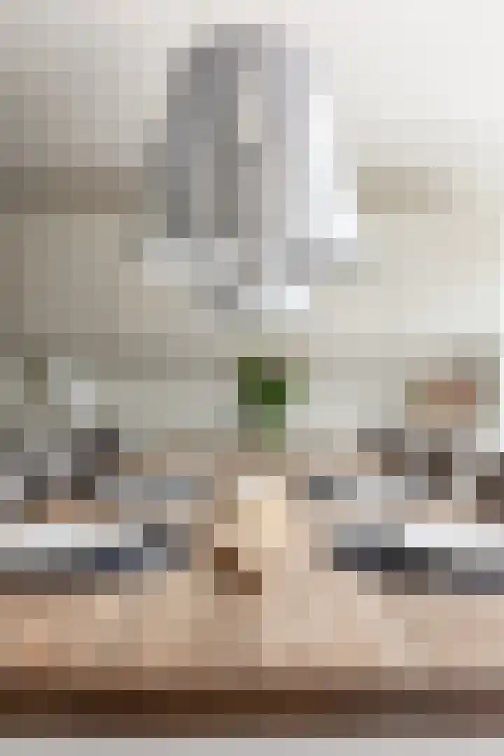 Hoogstraat 38 Berlicum thumbnail 26