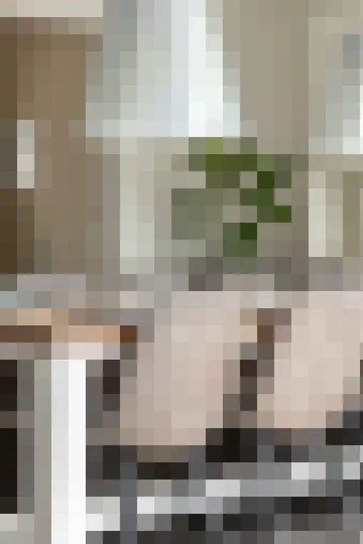 Hoogstraat 38 Berlicum thumbnail 28