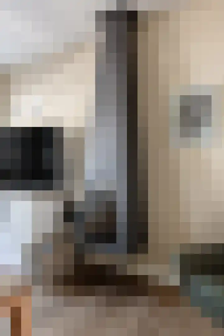 Hoogstraat 38 Berlicum thumbnail 29