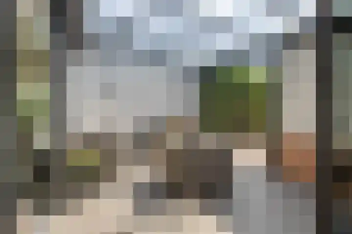 Hoogstraat 38 Berlicum thumbnail 33