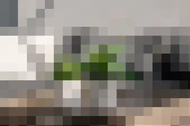 Hoogstraat 38 Berlicum thumbnail 34